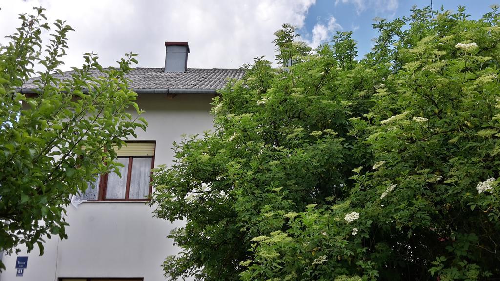 House Petkovic Hotel Кореница Екстериор снимка