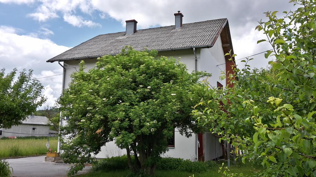 House Petkovic Hotel Кореница Екстериор снимка